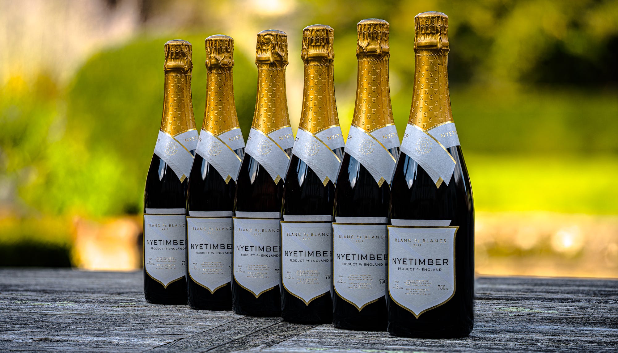 Nyetimber Blanc de Blancs Magnum 2016