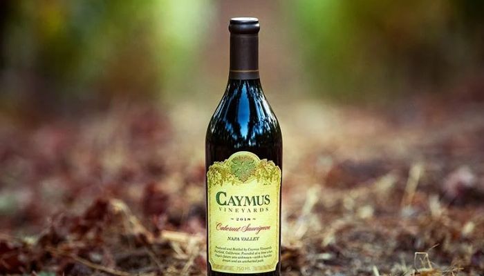 Top 10 Best Cabernet Sauvignon for 2026